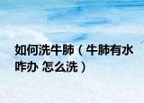 如何洗牛肺（牛肺有水咋辦 怎么洗）