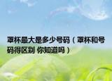 罩杯最大是多少號碼（罩杯和號碼得區(qū)別 你知道嗎）