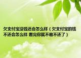欠支付寶沒(méi)錢(qián)還會(huì)怎么樣（欠支付寶的錢(qián)不還會(huì)怎么樣 看完你就不敢不還了）