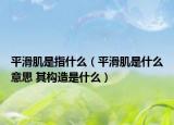 平滑肌是指什么（平滑肌是什么意思 其構(gòu)造是什么）