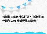 松樹籽生吃有什么好處?（松樹籽的作用與功效 松樹籽能生吃嗎）