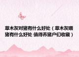 草木灰對(duì)豬有什么好處（草木灰喂豬有什么好處 值得養(yǎng)豬戶們收藏）