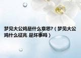 夢見大公雞是什么意思?（夢見大公雞什么征兆 是壞事嗎）