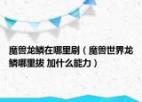 魔獸龍鱗在哪里刷（魔獸世界龍鱗哪里拔 加什么能力）