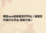 哪些app是易寶支付平臺(tái)（易寶支付是什么平臺(tái) 簡(jiǎn)單介紹）