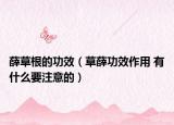 薛草根的功效（草薛功效作用 有什么要注意的）