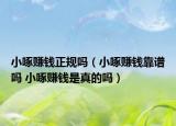小啄賺錢正規(guī)嗎（小啄賺錢靠譜嗎 小啄賺錢是真的嗎）