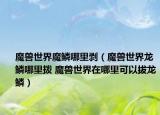 魔獸世界魔鱗哪里剝（魔獸世界龍鱗哪里撥 魔獸世界在哪里可以拔龍鱗）