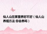 仙人山在家里養(yǎng)好不好（仙人山養(yǎng)殖方法 你會養(yǎng)嗎）