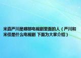 米嘉嚴川是哪部電視劇里面的人（嚴川和米佳是什么電視劇 下面為大家介紹）