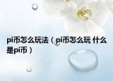 pi幣怎么玩法（pi幣怎么玩 什么是pi幣）