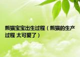 熊貓寶寶出生過程（熊貓的生產(chǎn)過程 太可愛了）