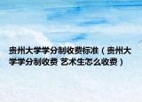 貴州大學(xué)學(xué)分制收費(fèi)標(biāo)準(zhǔn)（貴州大學(xué)學(xué)分制收費(fèi) 藝術(shù)生怎么收費(fèi)）