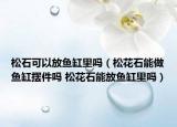 松石可以放魚缸里嗎（松花石能做魚缸擺件嗎 松花石能放魚缸里嗎）