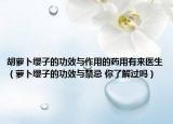 胡蘿卜纓子的功效與作用的藥用有來醫(yī)生（蘿卜纓子的功效與禁忌 你了解過嗎）