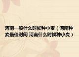 河南一般什么時候種小麥（河南種麥最佳時間 河南什么時候種小麥）