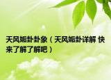 天風姤卦卦象（天風姤卦詳解 快來了解了解吧）
