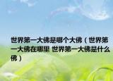 世界第一大佛是哪個大佛（世界第一大佛在哪里 世界第一大佛是什么佛）