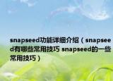 snapseed功能詳細介紹（snapseed有哪些常用技巧 snapseed的一些常用技巧）