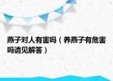 燕子對(duì)人有害嗎（養(yǎng)燕子有危害嗎請(qǐng)見解答）