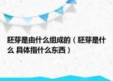 胚芽是由什么組成的（胚芽是什么 具體指什么東西）