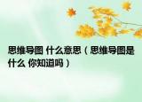 思維導(dǎo)圖 什么意思（思維導(dǎo)圖是什么 你知道嗎）