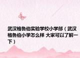 武漢格魯伯實驗學校小學部（武漢格魯伯小學怎么樣 大家可以了解一下）
