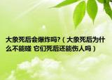 大象死后會(huì)爆炸嗎?（大象死后為什么不能碰 它們死后還能傷人嗎）