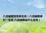 八月蝴蝶雙雙來生肖（八月蝴蝶來打一生肖 八月蝴蝶是什么生肖）