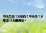 海藻類是什么東西（海藻是什么東西 什么是海藻）
