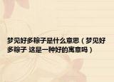夢見好多粽子是什么意思（夢見好多粽子 這是一種好的寓意嗎）