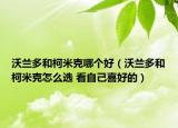 沃蘭多和柯米克哪個(gè)好（沃蘭多和柯米克怎么選 看自己喜好的）