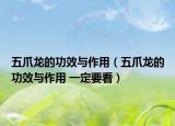 五爪龍的功效與作用（五爪龍的功效與作用 一定要看）