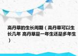 高丹草的生長周期（高丹草可以生長幾年 高丹草是一年生還是多年生）