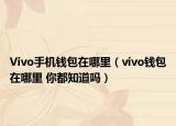 Vivo手機錢包在哪里（vivo錢包在哪里 你都知道嗎）
