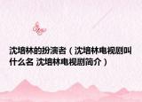 沈培林的扮演者（沈培林電視劇叫什么名 沈培林電視劇簡介）