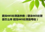 驍龍665處理器參數(shù)（驍龍665處理器怎么樣 驍龍665處理器號碼）