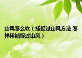 山風(fēng)怎么吹（捕捉過山風(fēng)方法 怎樣用捕捉過山風(fēng)）