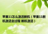 蘋(píng)果11怎么激活新機(jī)（蘋(píng)果11新機(jī)激活全過(guò)程 新機(jī)激活）