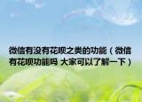 微信有沒有花唄之類的功能（微信有花唄功能嗎 大家可以了解一下）