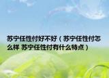 蘇寧任性付好不好（蘇寧任性付怎么樣 蘇寧任性付有什么特點(diǎn)）