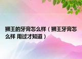獅王的牙膏怎么樣（獅王牙膏怎么樣 用過才知道）