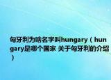 匈牙利為啥名字叫hungary（hungary是哪個(gè)國家 關(guān)于匈牙利的介紹）