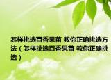 怎樣挑選百香果苗 教你正確挑選方法（怎樣挑選百香果苗 教你正確挑選）