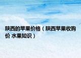 陜西的蘋果價格（陜西蘋果收購價 水果知識）