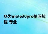 華為mate30pro拍照教程 專業(yè)