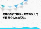 路亞釣魚技巧教學（路亞教學入門教程 教你釣魚的經(jīng)驗）