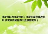 沙發(fā)可以改變發(fā)質(zhì)嗎（沙發(fā)的發(fā)質(zhì)能改變嗎 沙發(fā)發(fā)質(zhì)如何做出柔順的發(fā)型）