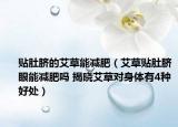 貼肚臍的艾草能減肥（艾草貼肚臍眼能減肥嗎 揭曉艾草對(duì)身體有4種好處）