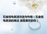 石金錢龜煲湯功效與作用（石金錢龜煲湯的做法 送給喜歡的你）